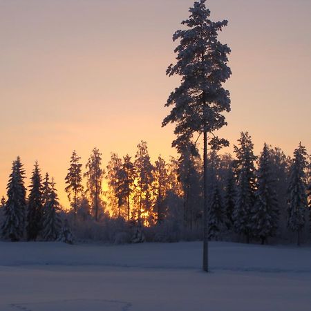 Villa Tiirinkallio Нильсия Номер фото