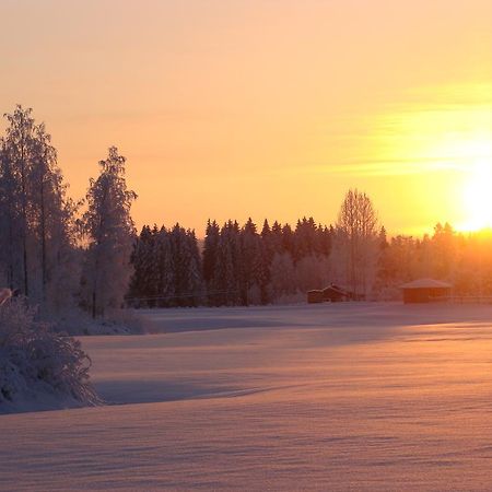 Villa Tiirinkallio Нильсия Экстерьер фото