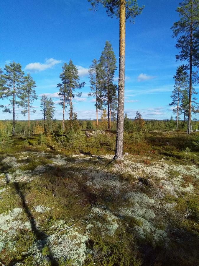 Villa Tiirinkallio Нильсия Экстерьер фото