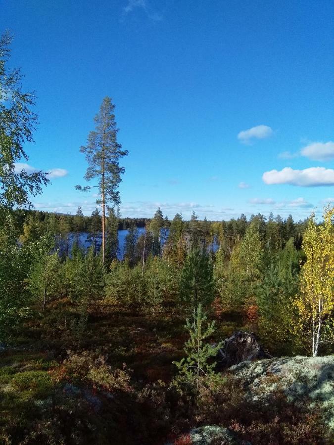 Villa Tiirinkallio Нильсия Экстерьер фото