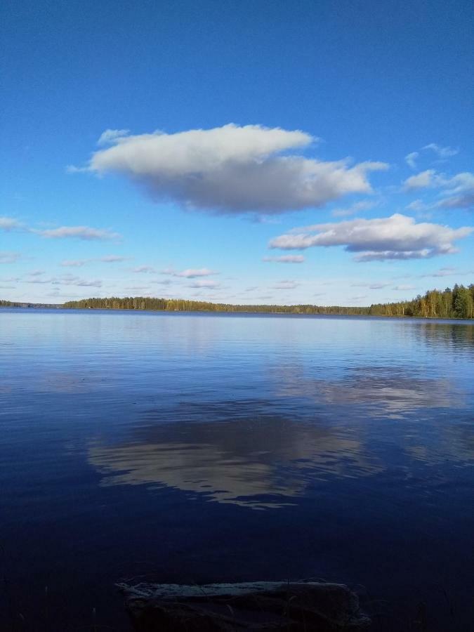 Villa Tiirinkallio Нильсия Экстерьер фото