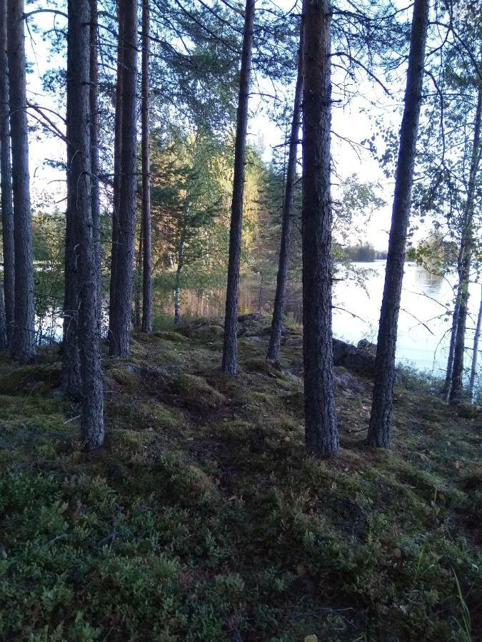 Villa Tiirinkallio Нильсия Экстерьер фото